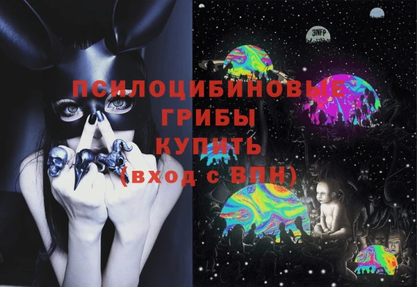 дурь Горняк