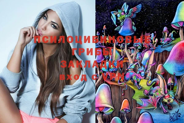 дурь Горняк
