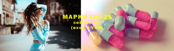 дурь Горняк