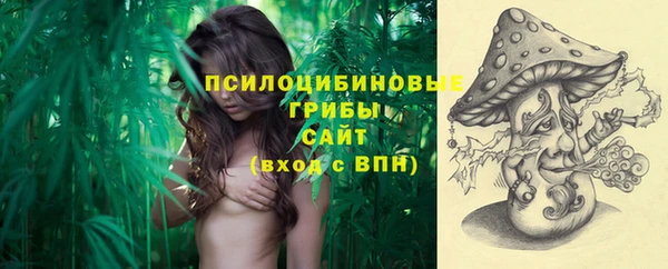 синтетический гашиш Горнозаводск