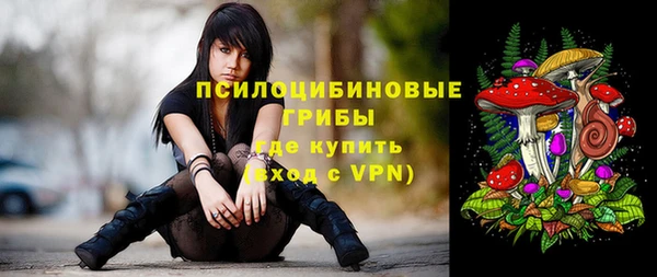 дурь Горняк